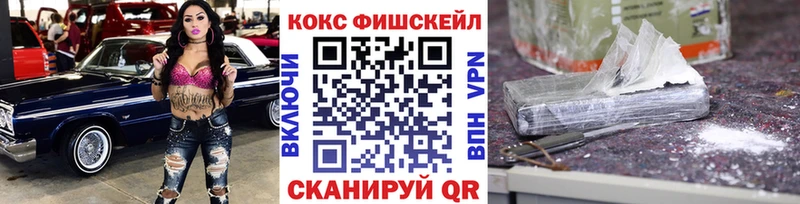 где купить наркоту  Соль-Илецк  COCAIN FishScale 