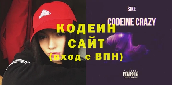 индика Баксан