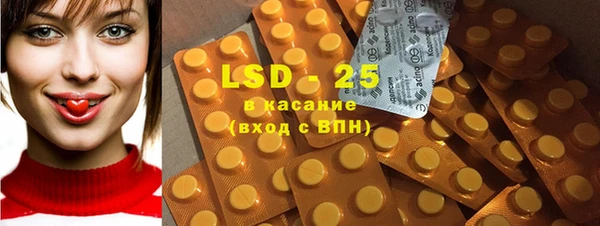 индика Баксан
