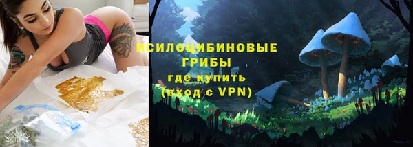 индика Баксан