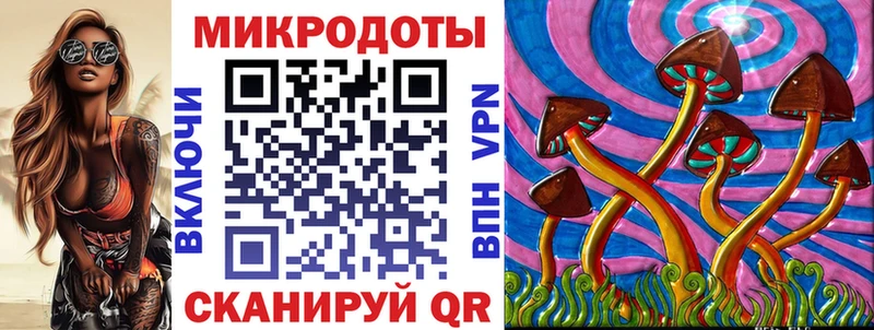 Галлюциногенные грибы Cubensis  Соль-Илецк 